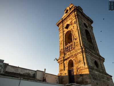 ...abbiamo modo di ammirare da vicino il nostro campanile